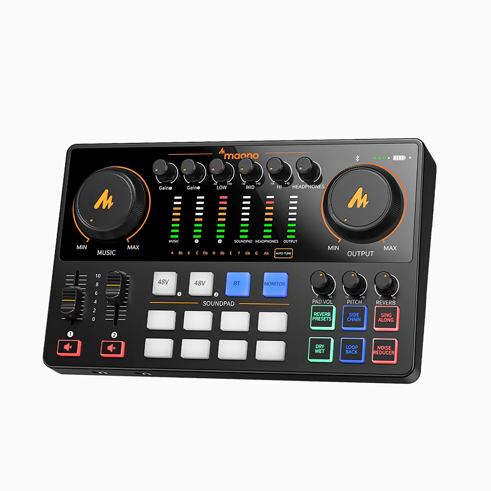 XLR Input*2
